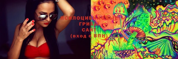 шишки Алексеевка