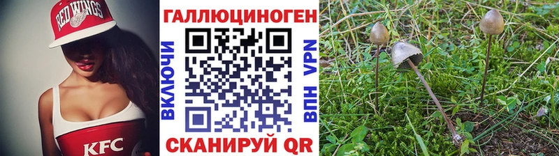 Галлюциногенные грибы прущие грибы blacksprut рабочий сайт Алупка